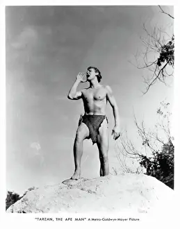 Lac0041 Prints: Johnny Weissmuller In Tarzan, The Ape Man