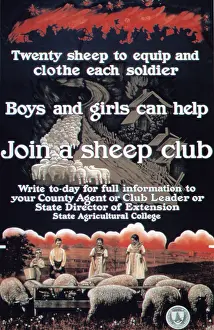 Club Prints: Join A Sheep Club