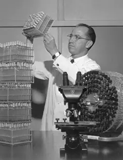Poliomyelitis Prints: Jonas Salk Working in Laboratory