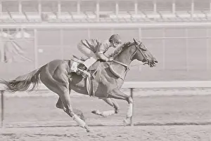 Jose Ithier Riding Affirmed