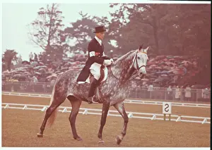 Josef Nickerman Riding Dressage