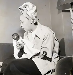 Towel Prints: Josephine Baker with Her Monkey Binki