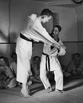 Martial Arts Prints: Judo Master