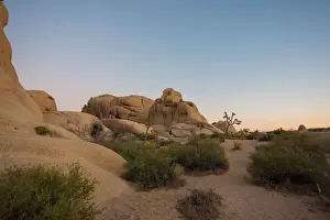 Dessert Prints: Jumbo Rocks