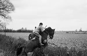 Working Ani Prints: Jumping A Hedge
