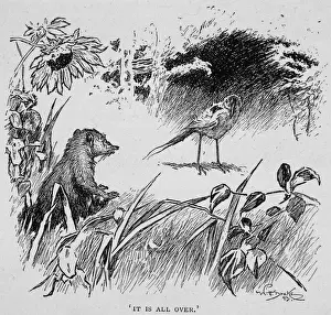 Jungle Book