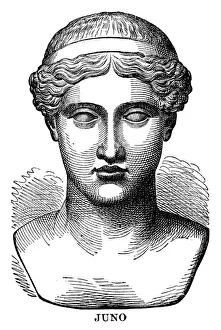 Greek Mythology Decor Prints Gallery: Juno, roman goddess