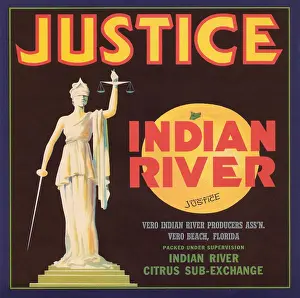 Produce Prints: Justice Brand