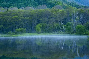 Images Dated 16th May 2018: Kagami-ike (Mirror Pond) at morning, Nagano, Japan