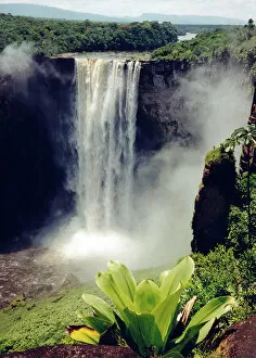 Images Dated 12th November 2013: Kaieteur Falls Guyana