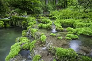 Images Dated 30th May 2013: Kaisinger Brunnenbach, stream, Greding, Bavaria, Germany