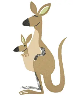 Kangaroo