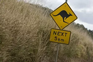 Images Dated 28th August 2007: Kangaroo sign near Whitsunday Islands, Australia