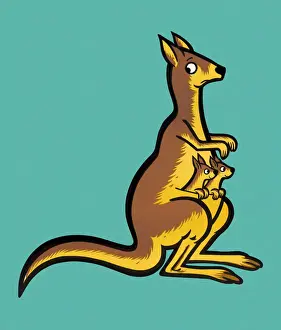 Kangroo