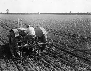 Kansas Fields