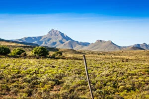 Images Dated 3rd January 2013: Karoo landscape, with mountains and unique fauna. Kompasberg mountain is in the background