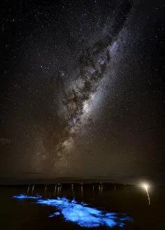 Images Dated 10th April 2018: Kayaking in blue bioluminescence under the Milky Way