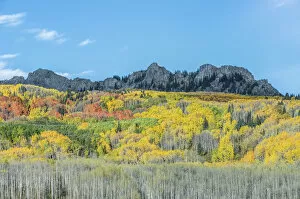 Images Dated 3rd October 2015: Kebler Pass in autumn, Gunnison National Forest, Colorado, USA