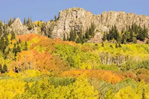 Images Dated 25th September 2017: Kebler Pass formation and forest in autumn, Gunnison National Forest, Colorado, USA