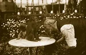 Bend Prints: Keeper And Baboon