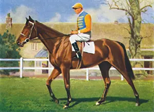 Racetrack Prints: Kellsboro Jack