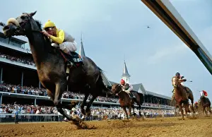 Kentucky Derby Horse Racing Action with Eddie Delahoussaye