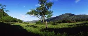 Prints of Co Kerry, Killarney, Carrantuohill and the Purple Mountains, Ireland Ireland Unveiled: Co Kerry, Killarney, Carrantuohill and the Purple Mountains, Ireland