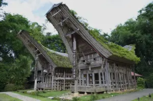 Timber Building Prints: Kete Kesu village with traditional Toraja houses near Rantepao