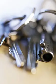 Differing Prints: Keys on a key ring