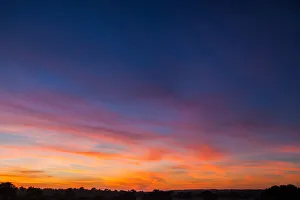 Images Dated 1st February 2017: The Kgalagadi Transfrontier Park lies in a large sand-filled basin in the west of the southern