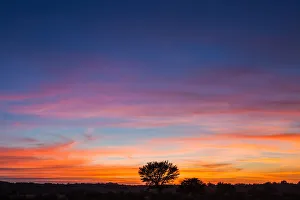 Images Dated 1st February 2017: The Kgalagadi Transfrontier Park lies in a large sand-filled basin in the west of the southern