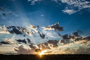 Images Dated 1st February 2017: The Kgalagadi Transfrontier Park lies in a large sand-filled basin in the west of the southern