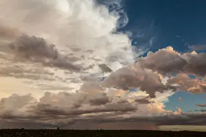 Gallo Keywords Prints: The Kgalagadi Transfrontier Park lies in a large sand-filled basin in the west of the southern African subcontinent