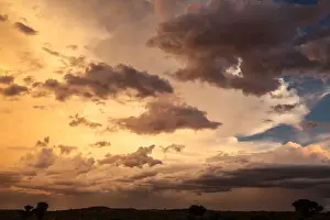 Gallo Keywords Prints: The Kgalagadi Transfrontier Park lies in a large sand-filled basin in the west of the southern African subcontinent
