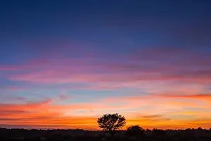 The Kgalagadi Transfrontier Park lies in a large sand-filled basin in the west of the southern African subcontinent, known as the Kalahari Desert. It straddles both South Africa and Botswana to create