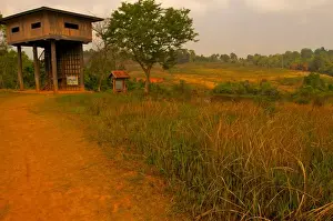 Shed Prints: Khao Yai National Park
