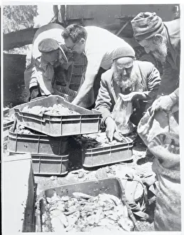 Kibbutz Workers with Fish Catch