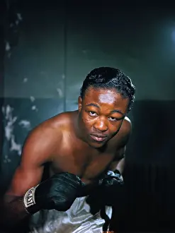 Kid Gavilan in Boxing Pose