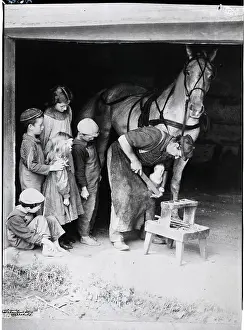 Blacksmith Prints: Kids Watch Blacksmith Shoeing A Horse