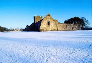 Kilcooley Abbey, Co Kilkenny, Ireland