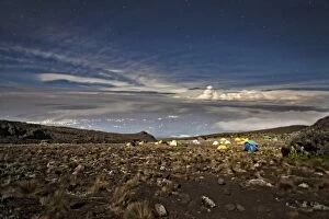Images Dated 17th March 2011: Kilimanjaro, Africa