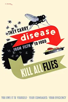 Disease Prints: Kill All Flies