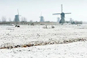 Kinderdijk snow