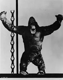 Images Dated 8th September 2016: King Kong