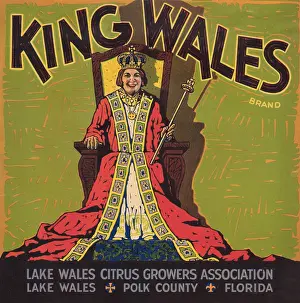 Florida Prints: King Wales Brand
