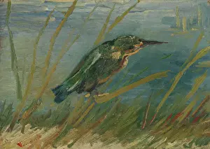 Animals And Birds Prints: Kingfisher By The Waterside