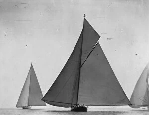 Historic America's Cup Yacht Race Gallery: Kings Cutter
