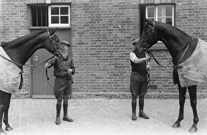 King's Horses
