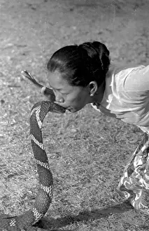 Burmese Prints: Kissing Cobra