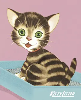 Kitten Prints: Kitten